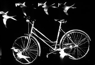 bike with swallows evgen bavcar